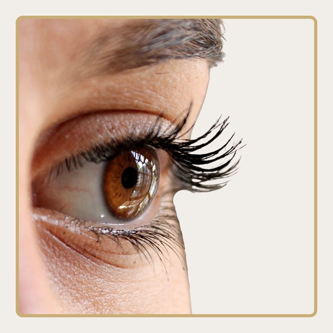 CLINICA MEDSPA