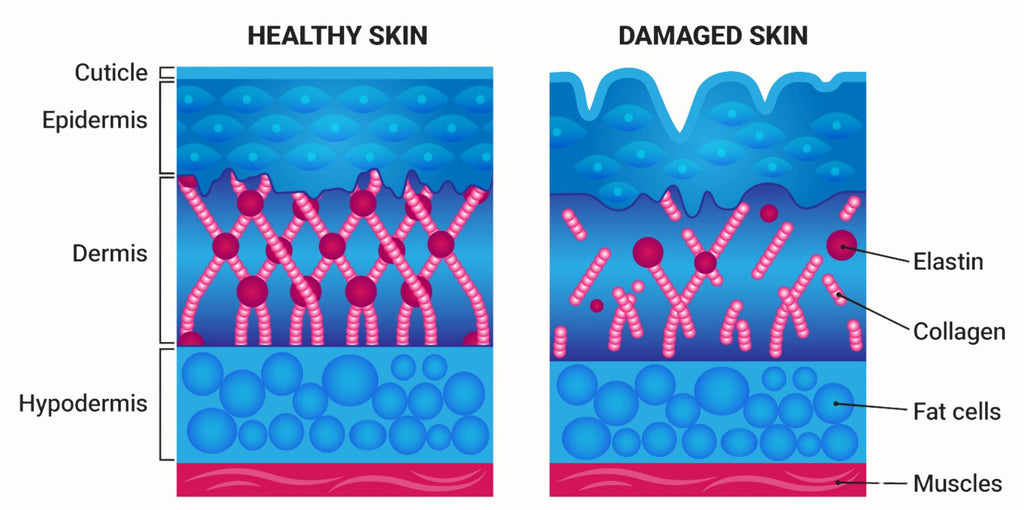Rynkebehandling Botox Oslo Clinica MedSpa Oslo CLINICA MEDSPA